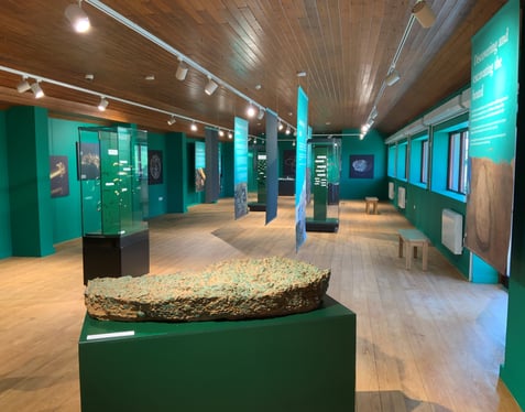 Foundation - Coin Hoard 1