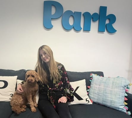 Park Work Experience 2