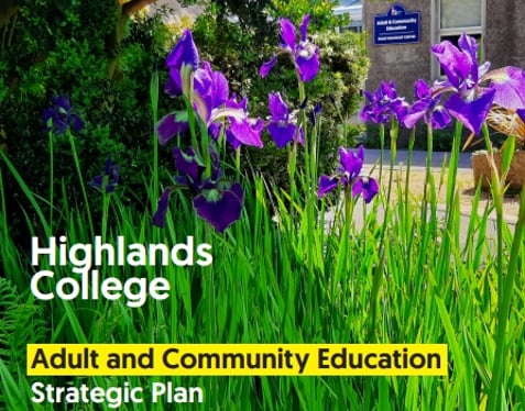 Front Cover of the Adult & Community Education Strategic Plan document. Purple flowers in grass with the pebble dash ACE building in the background.